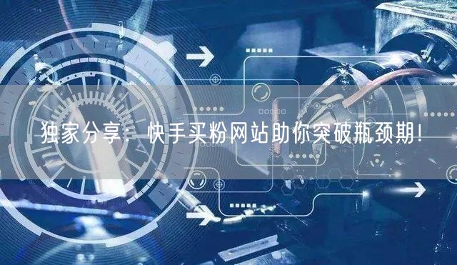 独家分享:快手买粉网站助你突破瓶颈期!