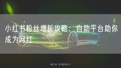 小红书粉丝增长攻略:自助平台助你成为网红