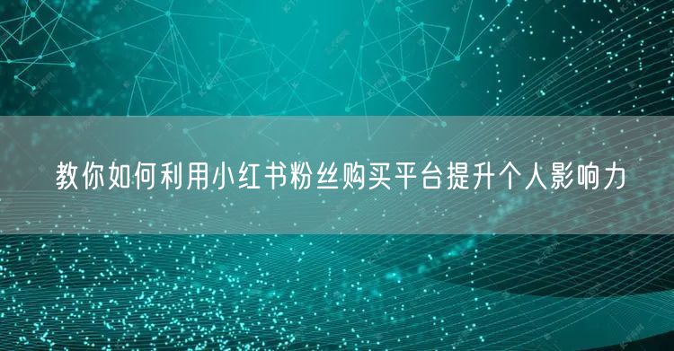 教你如何利用小红书粉丝购买平台提升个人影响力