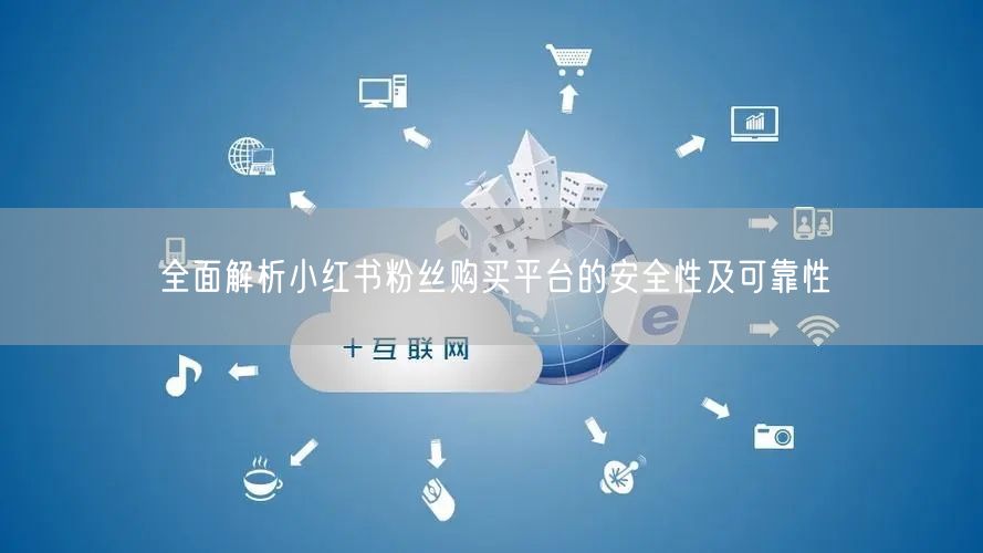 全面解析小红书粉丝购买平台的安全性及可靠性